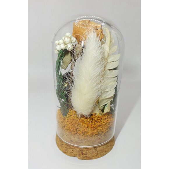 June Bug Sitting In Pinecone Throne Oddity Jar curiosity dome insect taxidermy - Picture 12 of 14